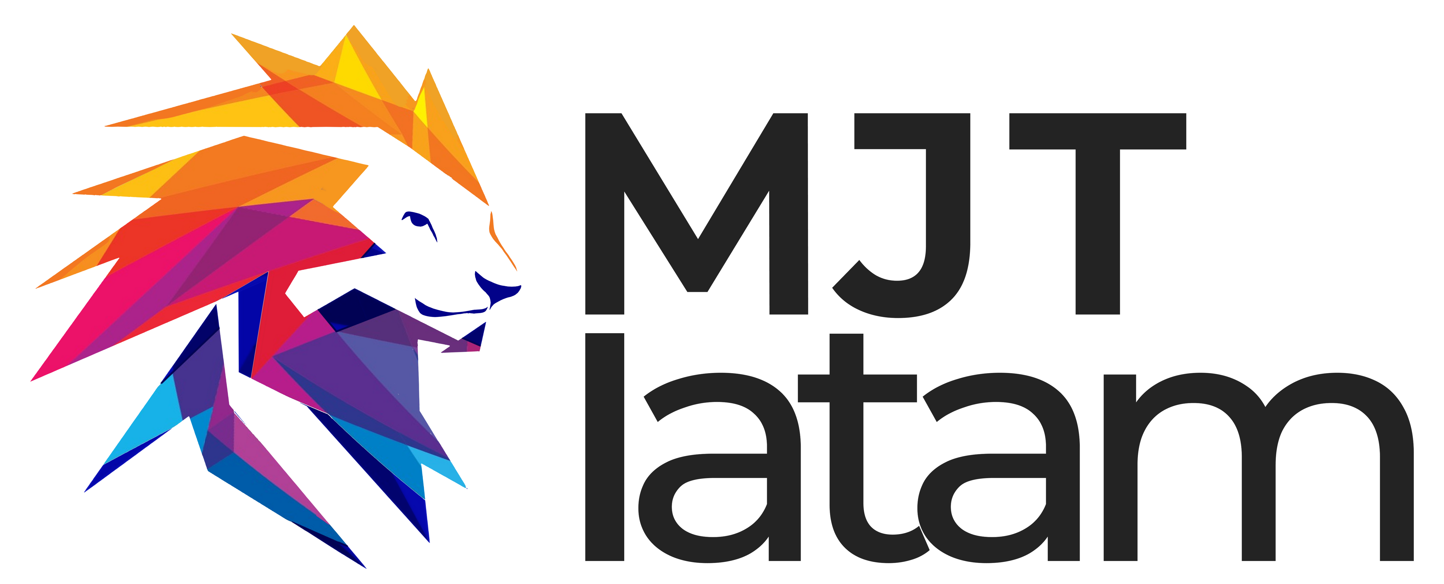 MJT LATAM LLC